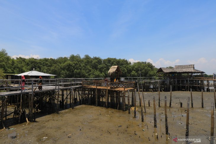 Ekowisata Mangrove Wonorejo