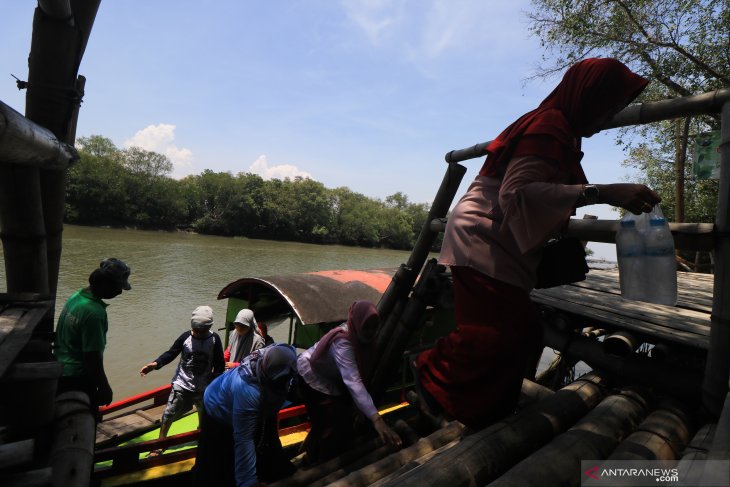 Ekowisata Mangrove Wonorejo