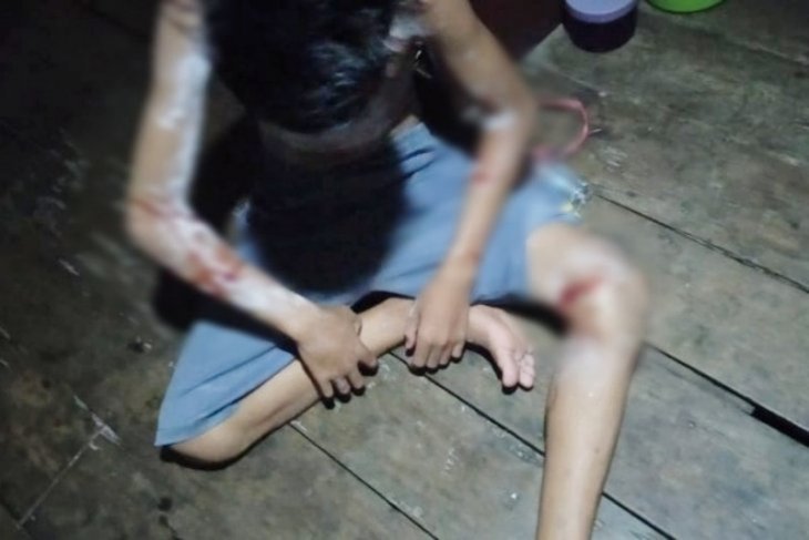 Pencari kerang di Kotawaringin Timur kembali diserang buaya