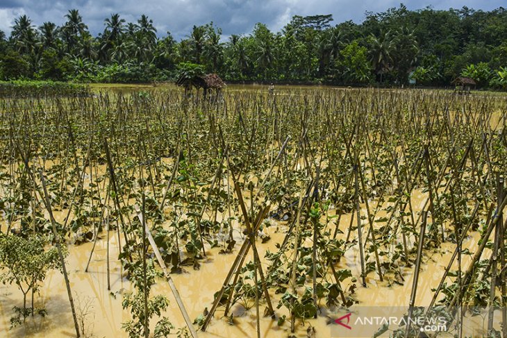 Banjir luapan sungai di Ciamis 