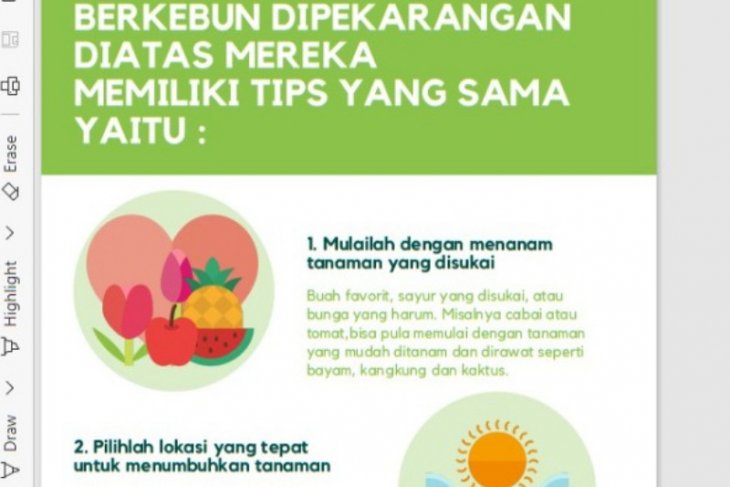 Urban farming makes body healthy, productive