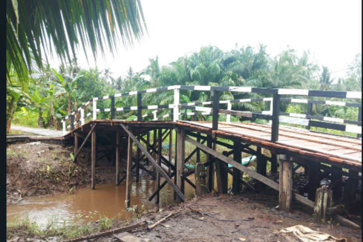 Perbaikan infrastruktur diharapkan dongkrak produksi Kopi di Pulau Hanaut