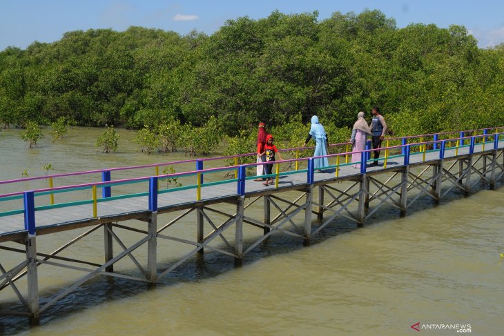 Libur maulid di wisata hutan mangrove Pamekasan