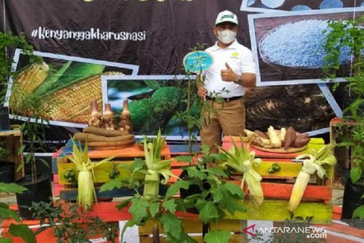 Babel kembangkan rumbia tingkatkan produksi sagu