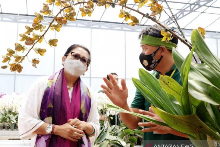 Putri Koster inginkan pameran khusus anggrek di Bali