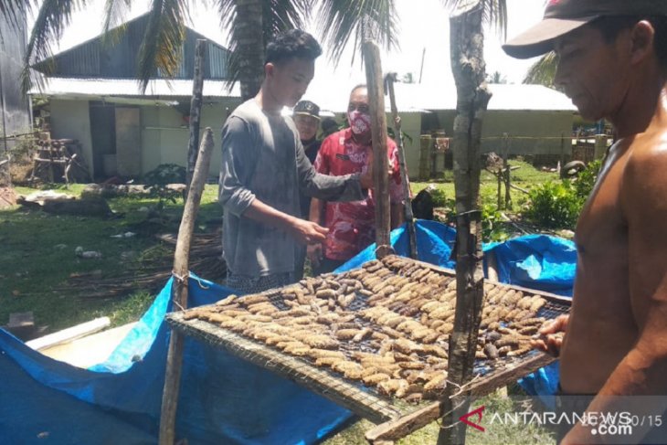 Dinas Perikanan Mukomuko dukung nelayan diversifikasi usaha
