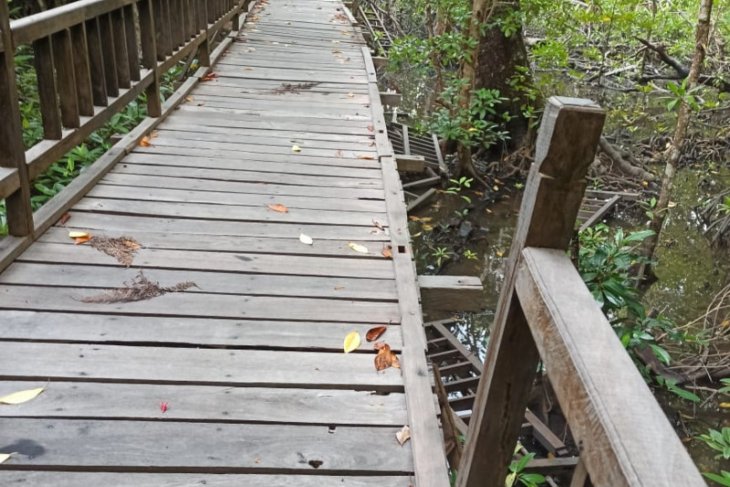 Pokdarwis sayangkan sarana mangrove Sukadana banyak rusak