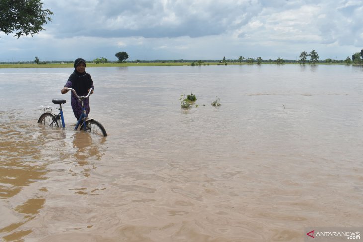 Banjir Landa Sebagian Wilayah Ngawi