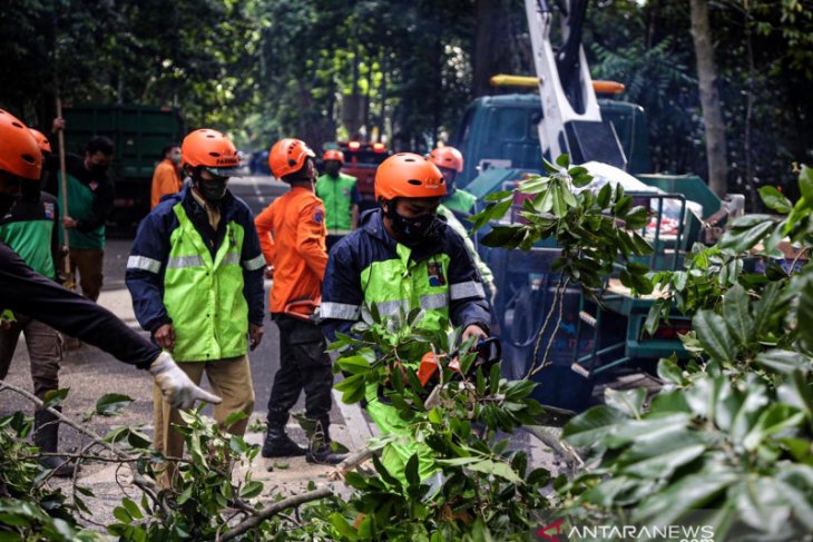 Bima Arya ingatkan warga Kota Bogor waspadai bencana hidrometeorologi