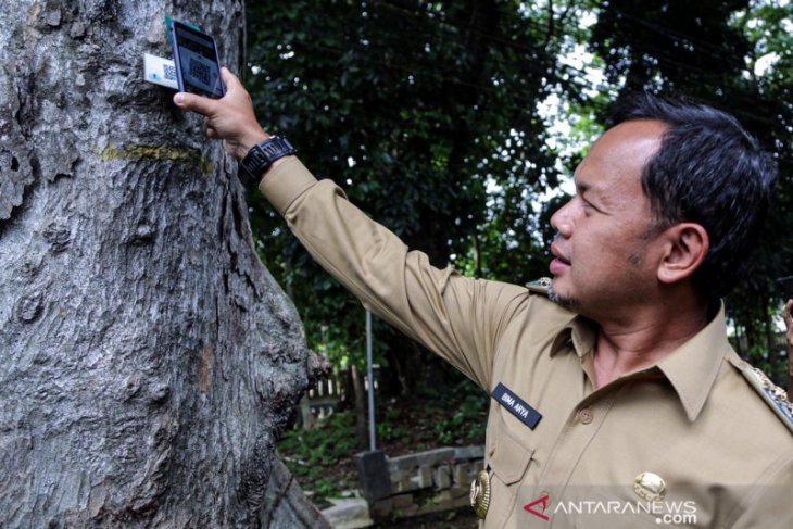 Pohon penghijauan di Kota Bogor mliki kartu indentitas berdasarkan kekokohannya