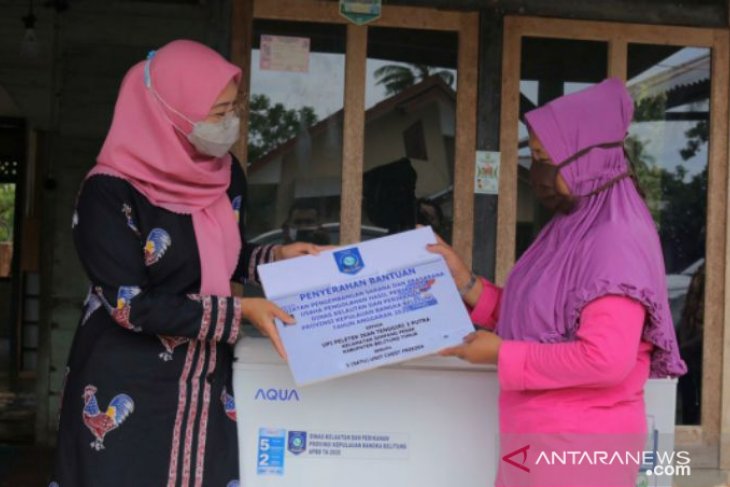 Ketua TP PKK Babel tinjau bantuan gedung produksi pengolahan ikan