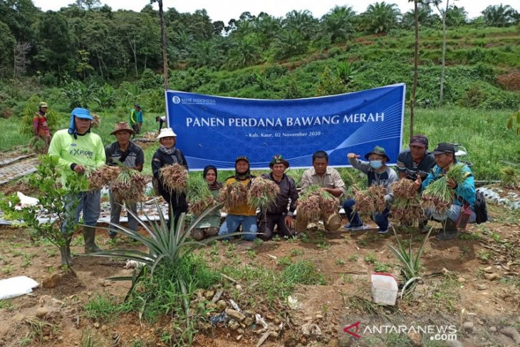 Pelatihan Bawang Merah Oleh Bi Prov Kaltara Binder15des20 By Harian Bhirawa Issuu Cerita Rakyat Bawang Merah Dan Bawang Putih Yeshua Mcclanahan