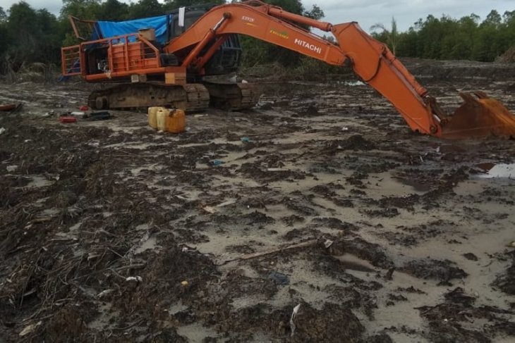 Hutan mangrove di Gunungsitoli Utara dirusak