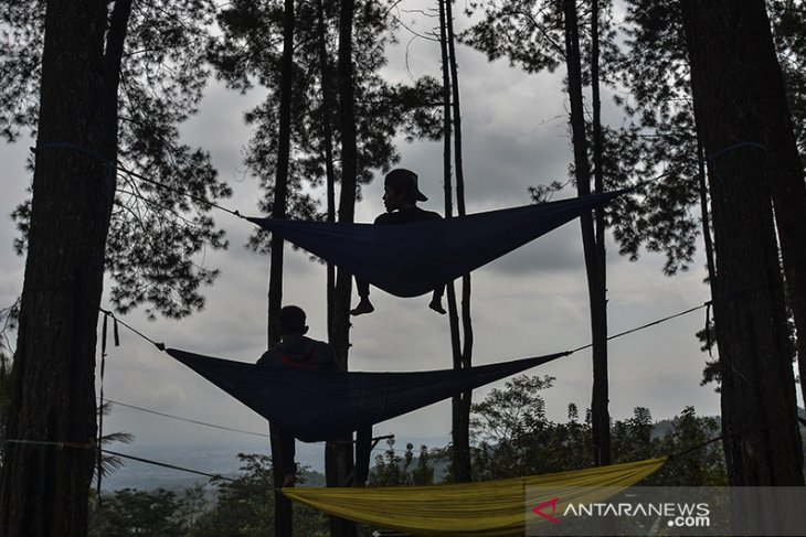 Wisata hutan pinus Darmacaang 