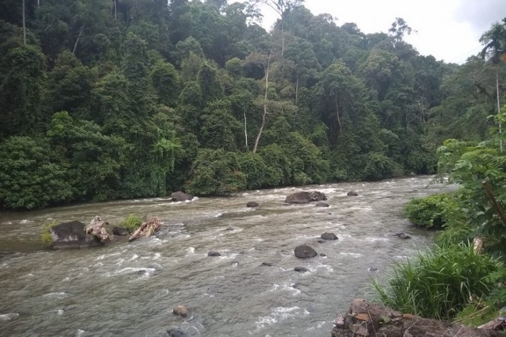 Akhir pekan, sejumlah tim arung jeram beraksi di Sungai Batang Merangin