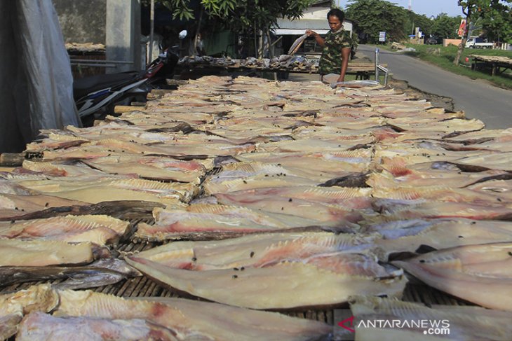 Penyaluran bantuan modal perikanan 