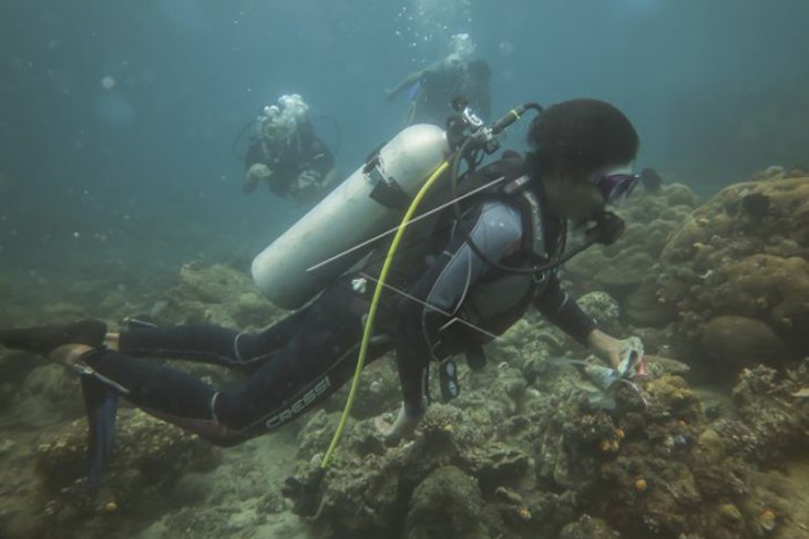 Bersihkan Laut Hari Pahlawan