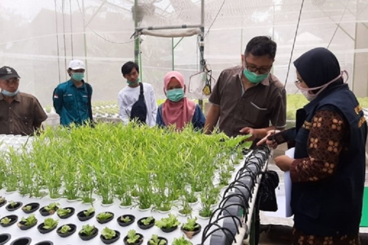 Pemkab Kediri fasilitasi para petani hidroponik raih sertifikasi prima