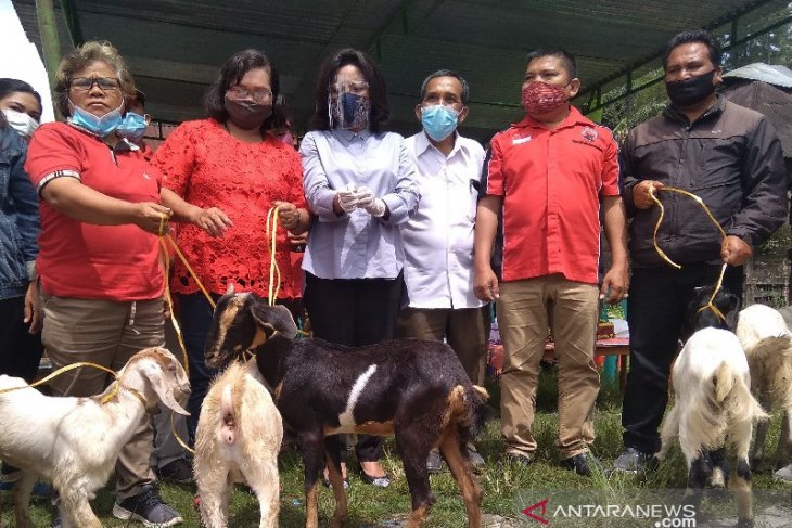 Kemarin, Satika serahkan bantuan 60 ekor kambing dan 600 ekor itik untuk poktan