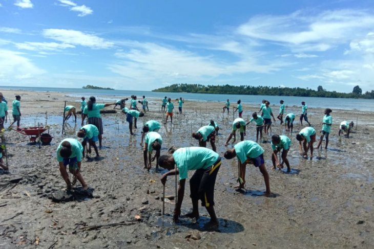 Pertamina RU VII bersama mitra tanam 5.000 pohon bakau
