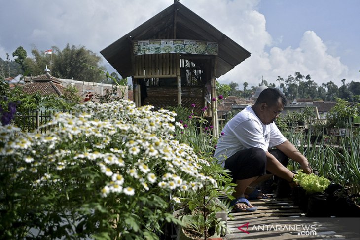 Upaya ketahanan pangan di Garut 