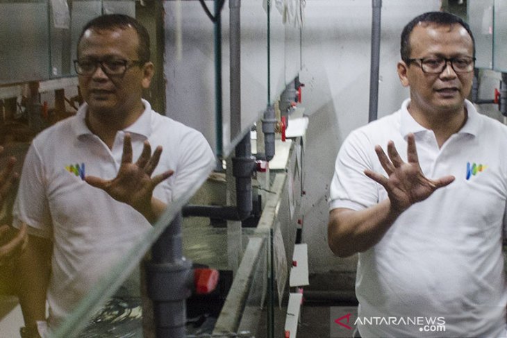 KPK sita rekening pedangdut Betty Elista kasus Edhy Prabowo