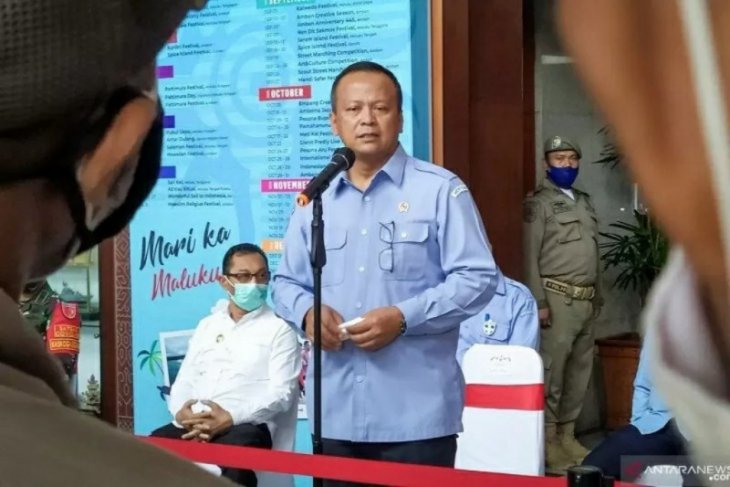 Menteri Edhy ditangkap terkait izin ekspor baby lobster