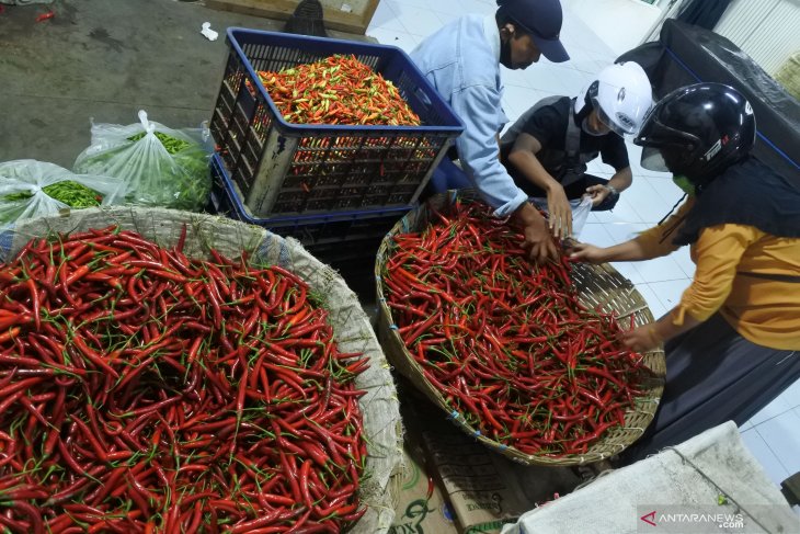 Harga cabai naik