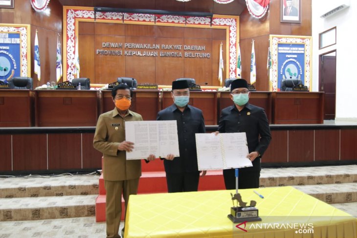 Pemprov Kepulauan Babel fokuskan APBD 2021 tangani COVID-19