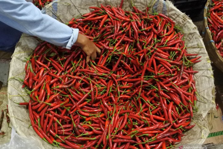 Penelitian terbaru sebutkan konsumsi cabai bisa perpanjang usia