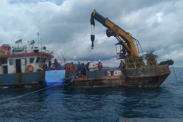 PT Timah tenggelamkan 2.000 rumah ikan di laut Bangka