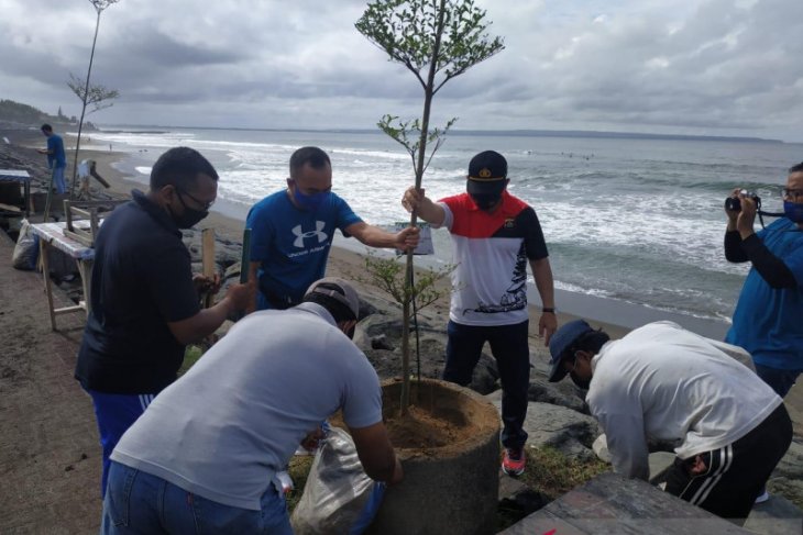 Jasa Raharja Bali tanam pohon di Pantai Pererenan peringati HUT ke-60
