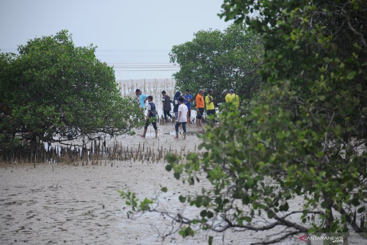 Peringatan Hari Menanam Pohon Indonesia