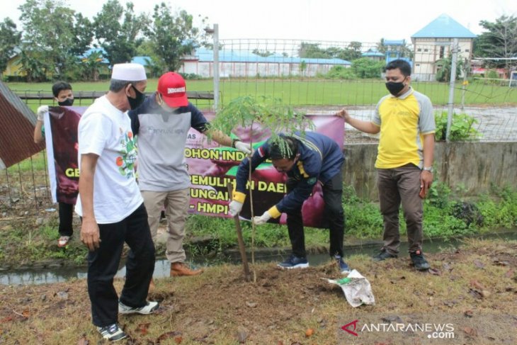 S Kalimantan planting trees to prevent landslide