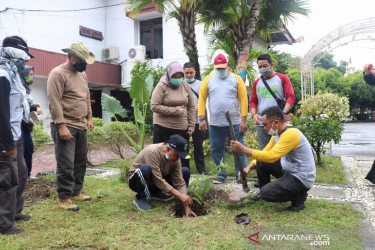 Banjar Regent plants bungur tree in the pavilion yard