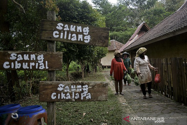 PEMBERDAYAAN DESA WISATA CIBURIAL