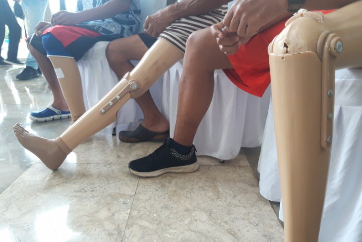 Presiden Jokowi jelaskan perlindungan disabilitas harus berlandaskan HAM