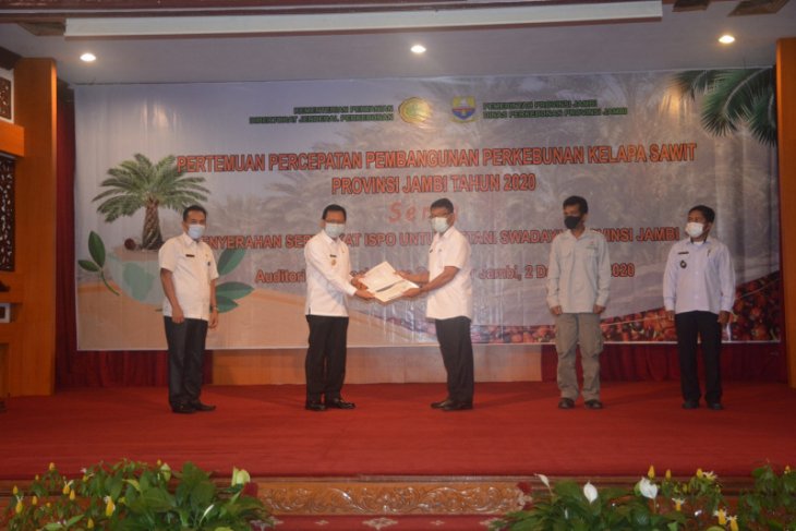 Pemprov Jambi bantu petani sawit swadaya peroleh sertifikat ISPO