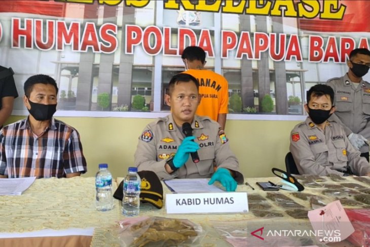 Polda Papua Barat ringkus bandar pemilik ganja 800 gram