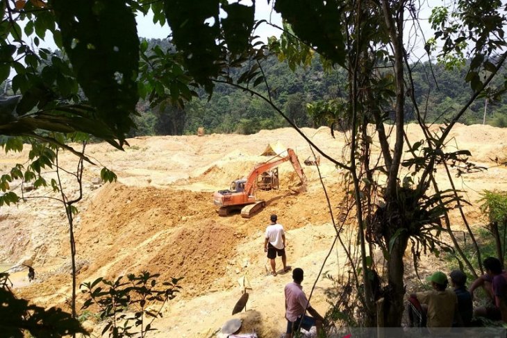 Hutan Desa Lubuk Bedorong Sarolangun dijarah pelaku penambang emas ilegal
