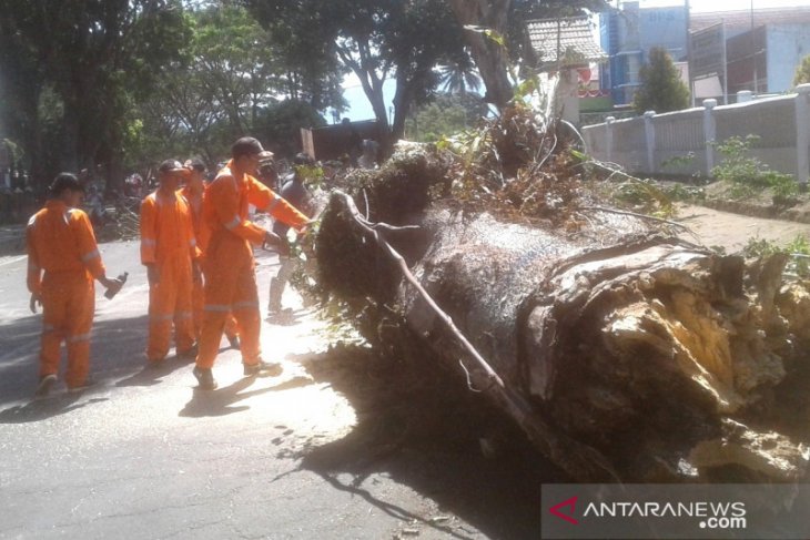 Bpbd Rejang Lebong Warga Diminta Waspadai Potensi Bencana Alam Antara News Bengkulu