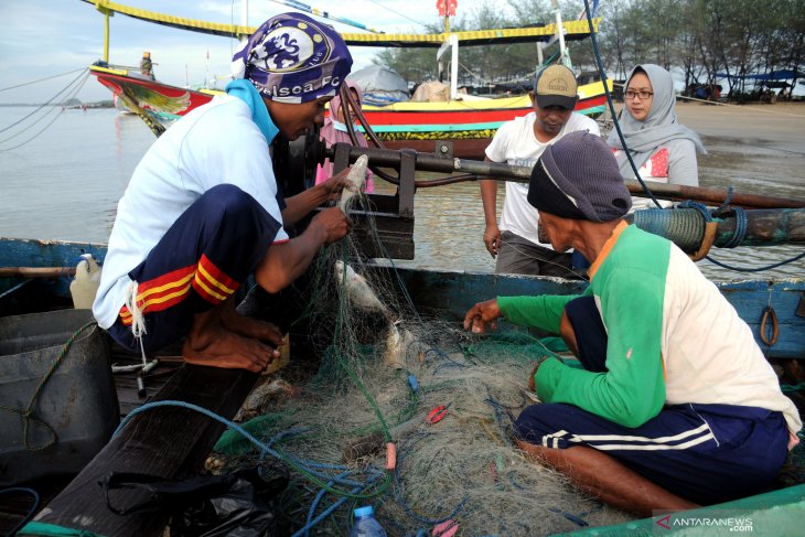 Belanja ikan segar dari nelayan
