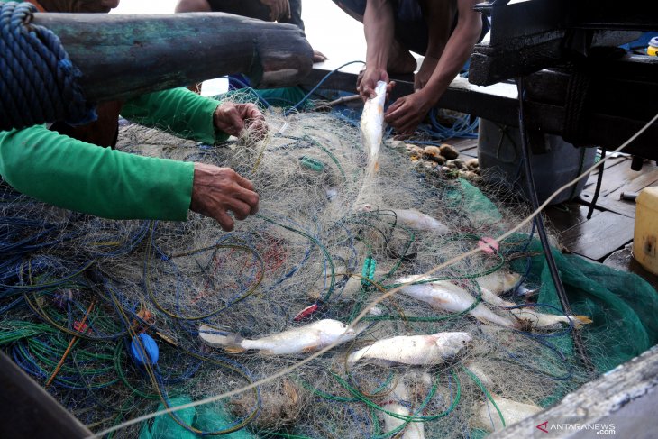 Belanja ikan segar dari nelayan