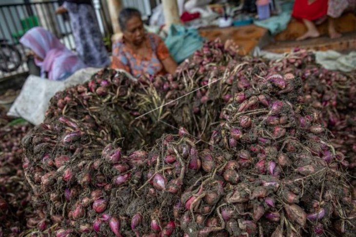 Harga bawang merah turun