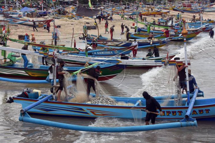 Nelayan Kedonganan panen ikan