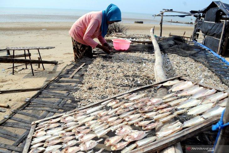 Produksi ikan kering di Pamekasan