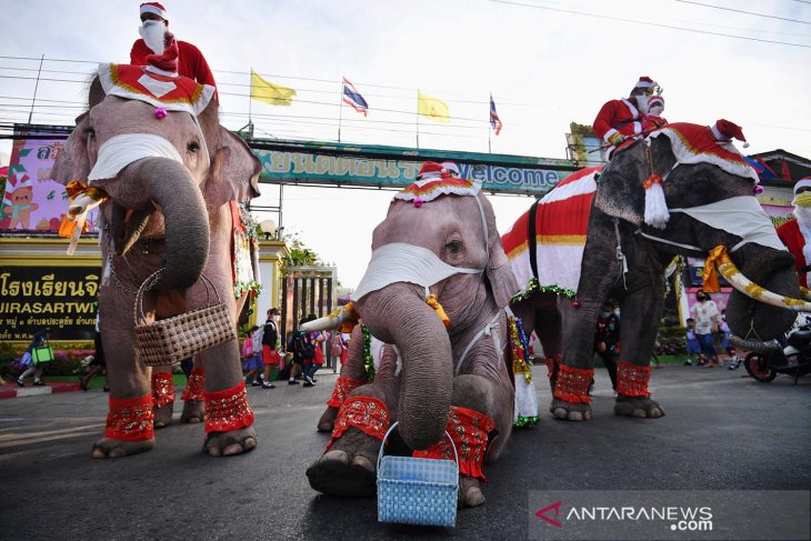 Gajah berkostum ala sinterklas bagikan masker di Thailand