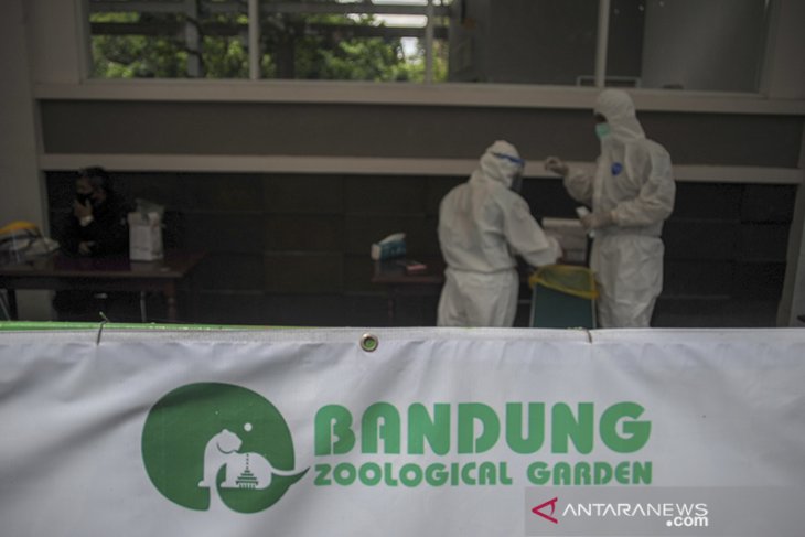 Tes cepat Antigen di Kebun Binatang Bandung 