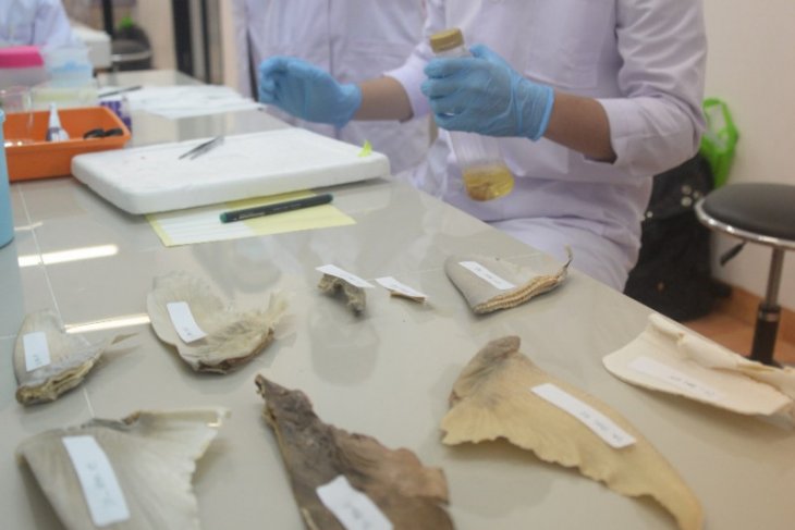 Lab bio-molekuler Polnep permudah identifikasi satwa air di Kalimantan Barat