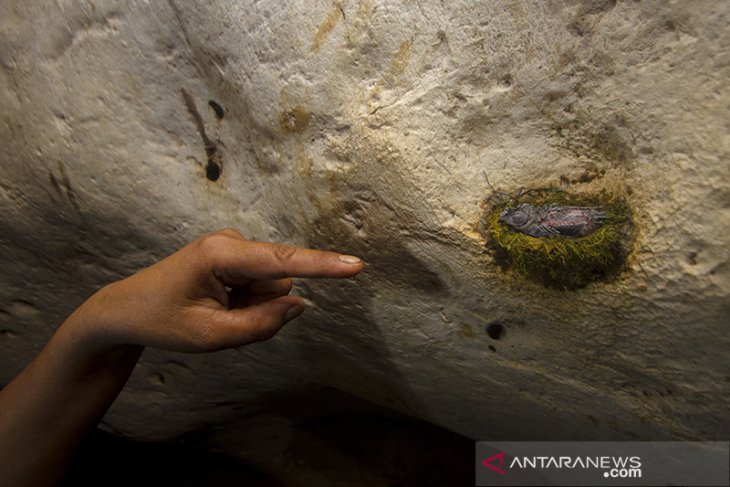 Goa Liang Tapah di Kawasan Geopark Meratus